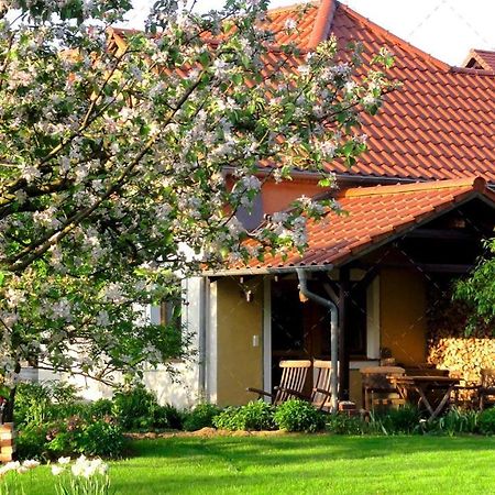 Janischs Fewo Im Spreewald, Terrasse, Grosser Garten Und Blick Inklusive Unterspreewald Kültér fotó