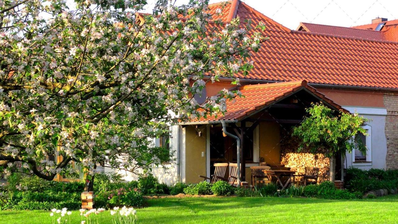 Janischs Fewo Im Spreewald, Terrasse, Grosser Garten Und Blick Inklusive Unterspreewald Kültér fotó