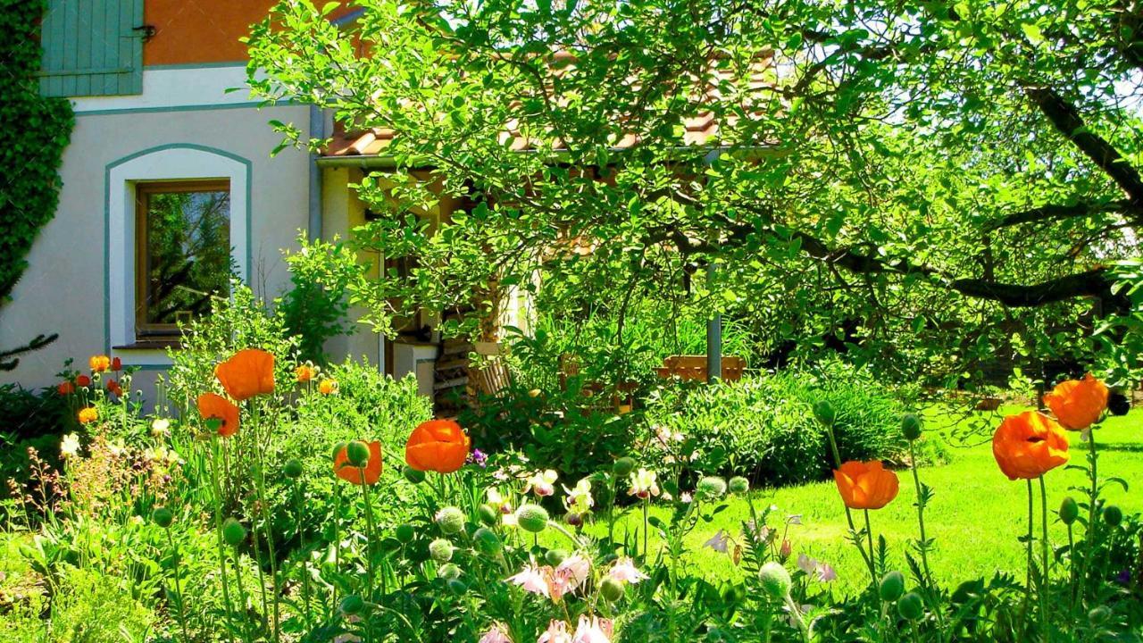Janischs Fewo Im Spreewald, Terrasse, Grosser Garten Und Blick Inklusive Unterspreewald Kültér fotó