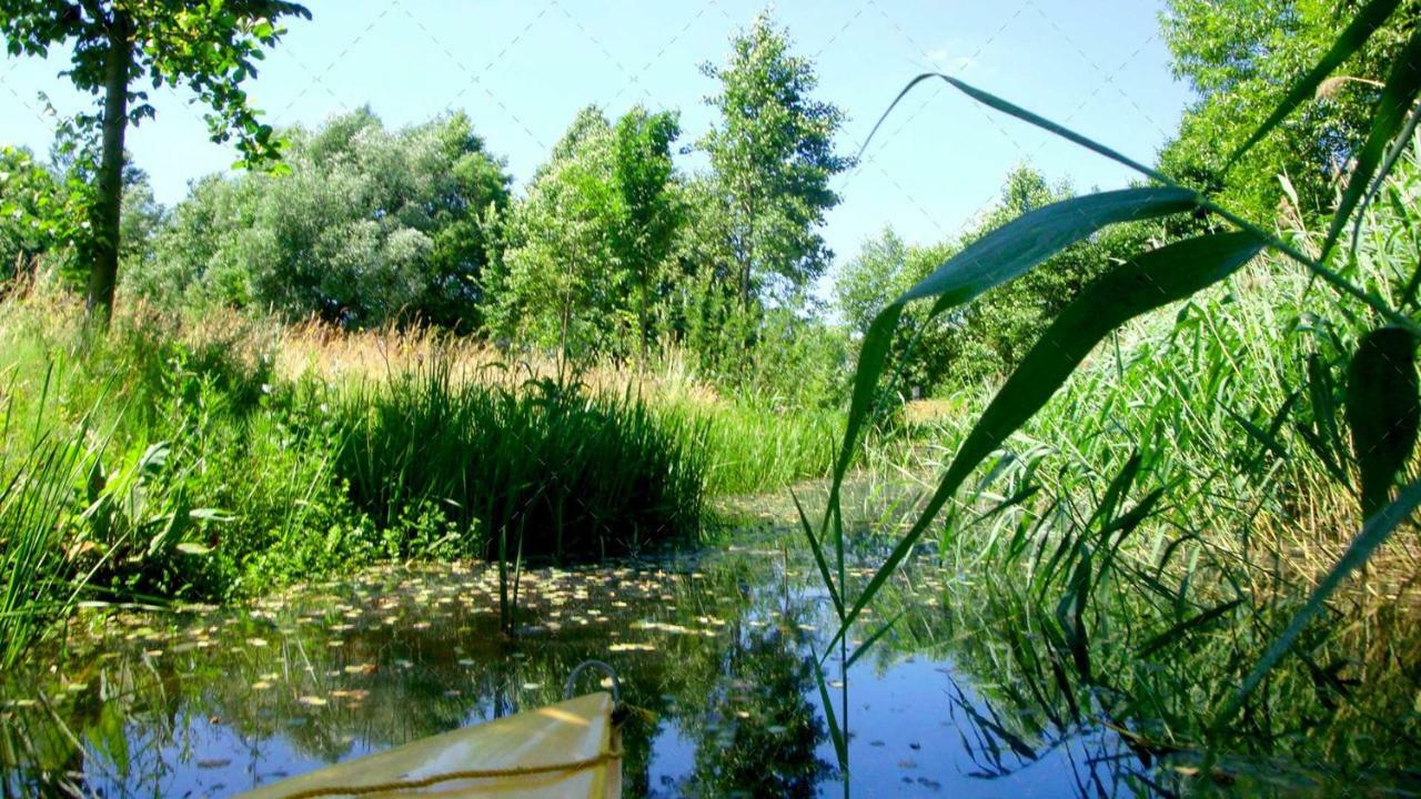 Janischs Fewo Im Spreewald, Terrasse, Grosser Garten Und Blick Inklusive Unterspreewald Kültér fotó