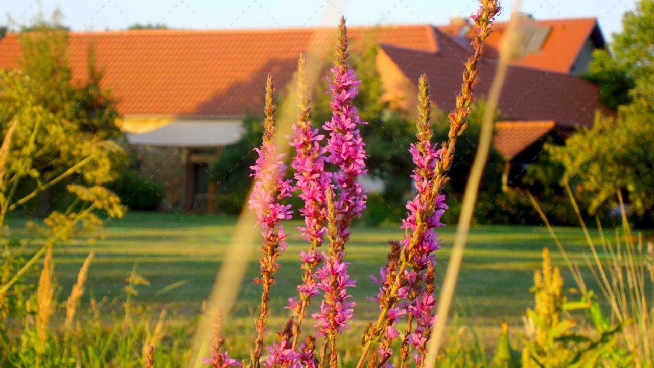 Janischs Fewo Im Spreewald, Terrasse, Grosser Garten Und Blick Inklusive Unterspreewald Kültér fotó