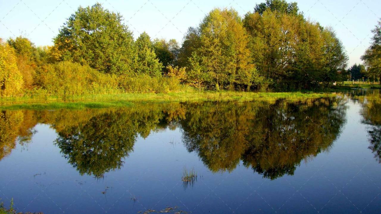 Janischs Fewo Im Spreewald, Terrasse, Grosser Garten Und Blick Inklusive Unterspreewald Kültér fotó
